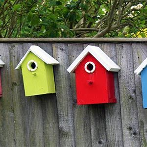 Photo 090 - Bird Boxes